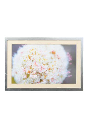 Framed Tiny Flowers Print