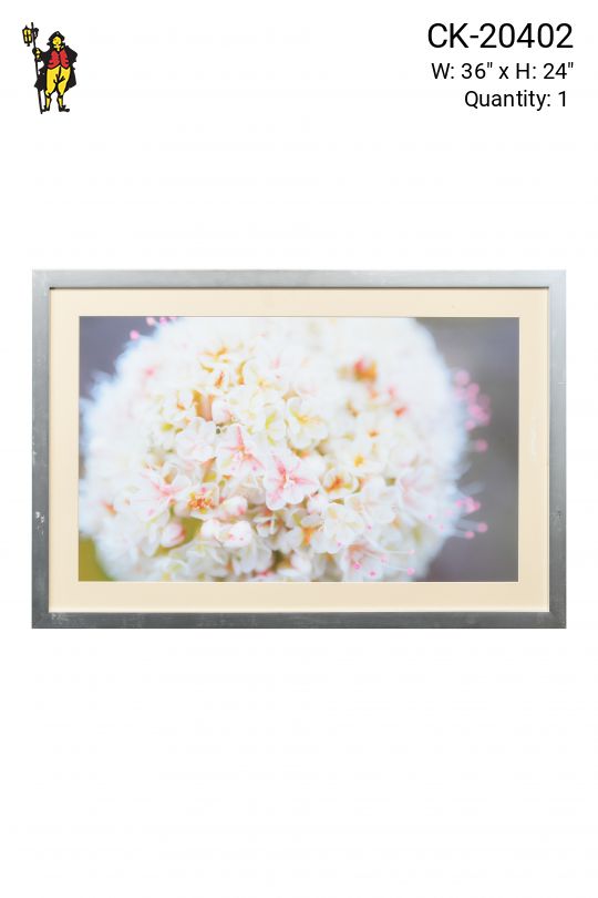 Framed Cleared Tiny Flowers Print