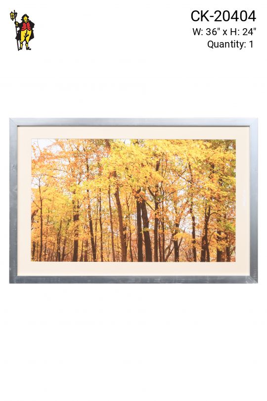 Framed Cleared Fall Leaves Print