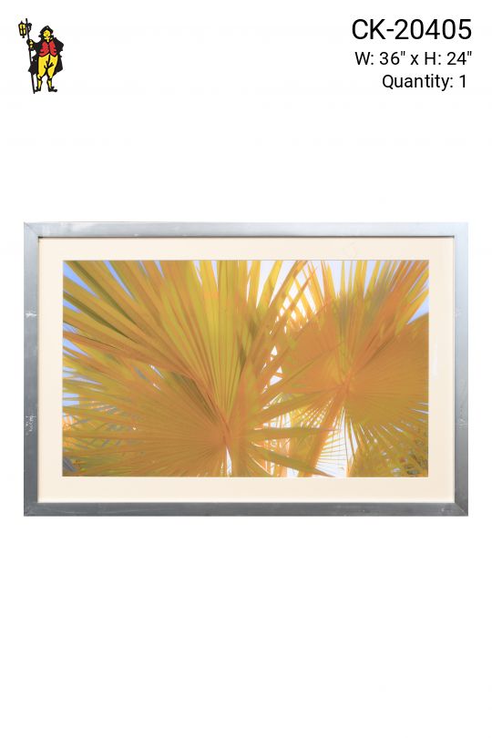Framed Cleared Palms In The Sun Print