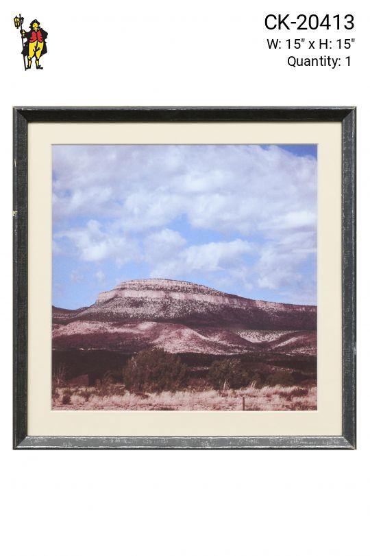 Framed Cleared Desert Photograph