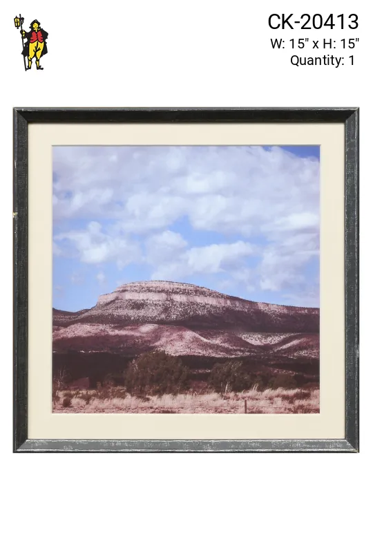 Framed Cleared Desert Photograph