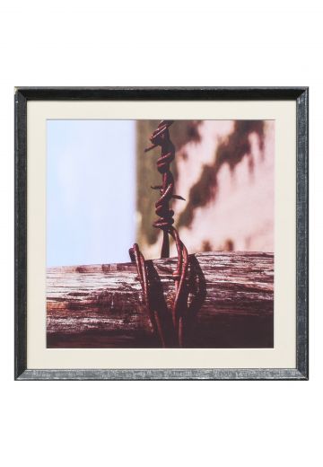 Framed Macro Desert Photograph