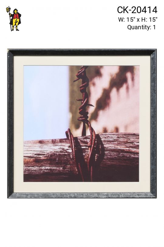 Framed Cleared Macro Desert Photograph