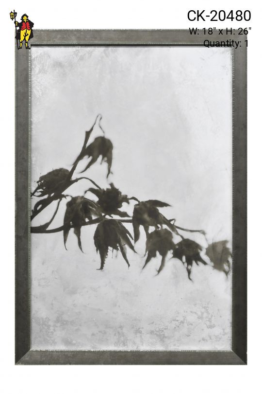 Framed Cleared Tintype Style Botanical Photograph - 3