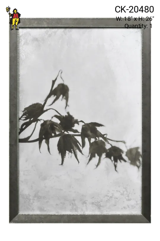 Framed Cleared Tintype Style Botanical Photograph - 3