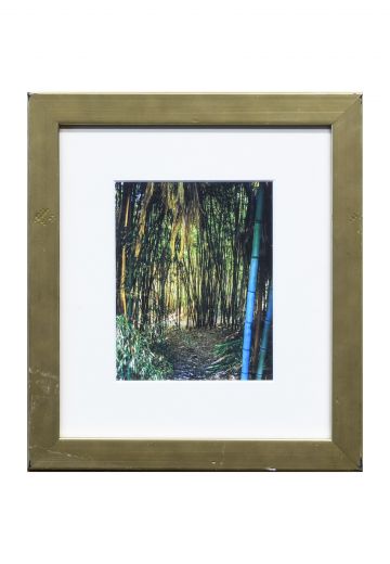 Framed Bamboo Photograph - 1