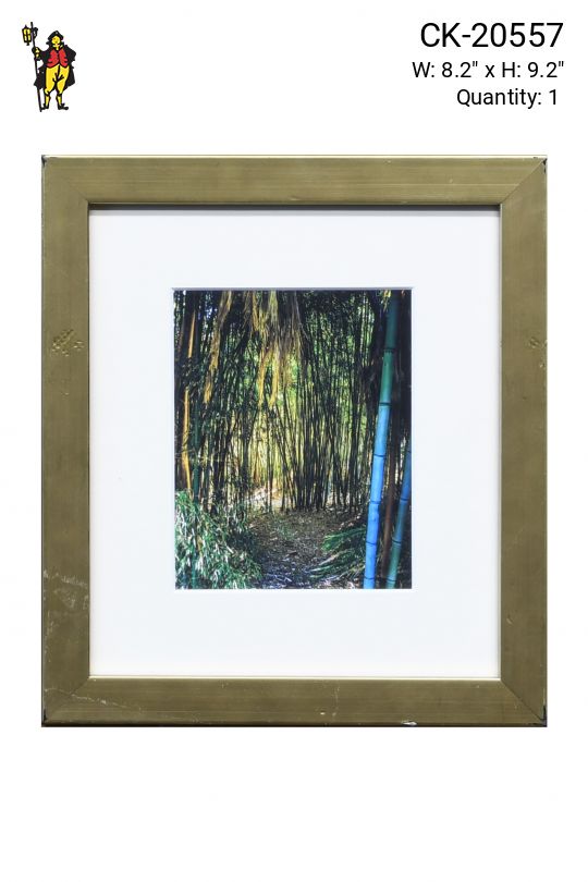 Framed Cleared Bamboo Photograph - 1