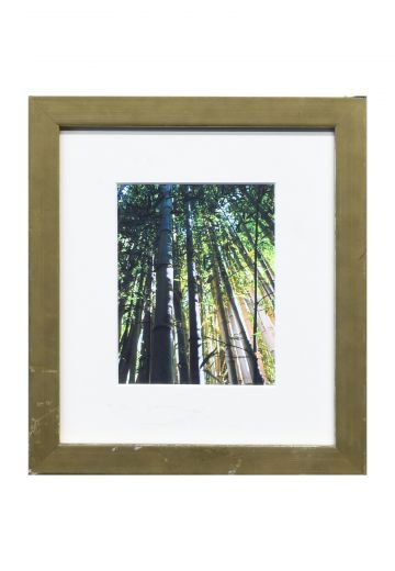 Framed Bamboo Photograph - 2