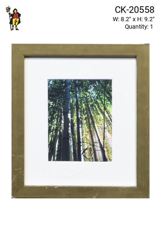 Framed Cleared Bamboo Photograph - 2