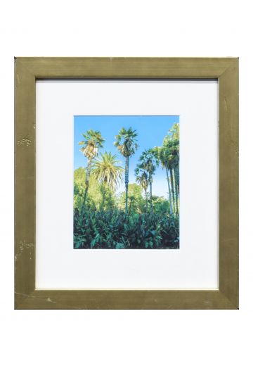 Framed Bamboo Photograph - 3