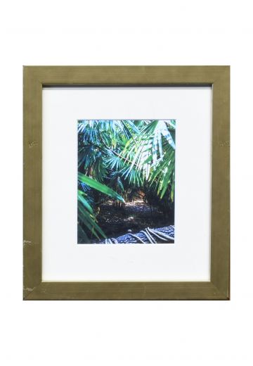 Framed Cleared Bamboo Photograph - 4