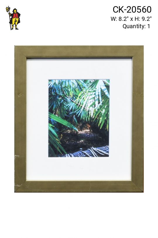 Framed Cleared Bamboo Photograph - 4