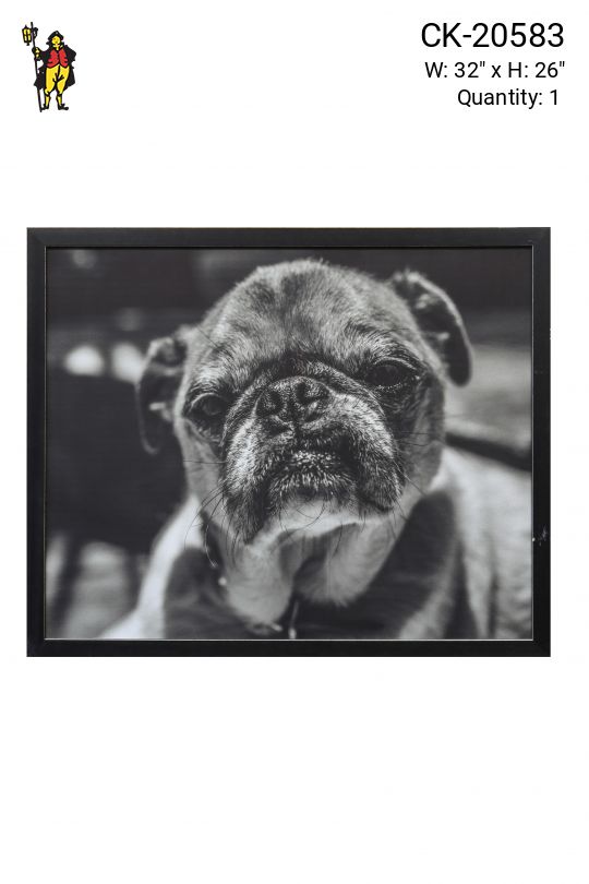 Framed Cleared Dog's Portrait Photo
