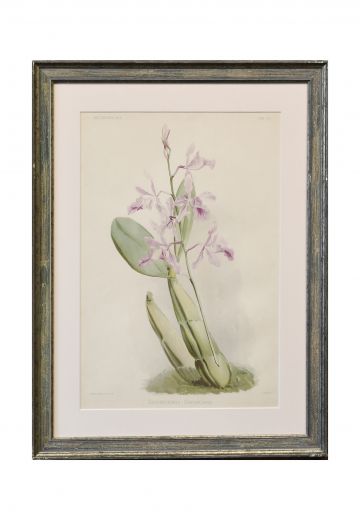 Framed Cleared Floral Lithograph - 2