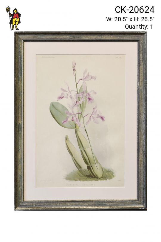 Framed Cleared Floral Lithograph - 2
