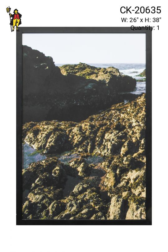 Framed Coastal Rock Formation Photograph