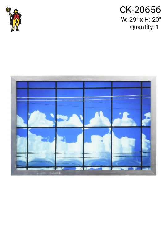 Framed Cleared Minimalist Mirrored Window Photograph