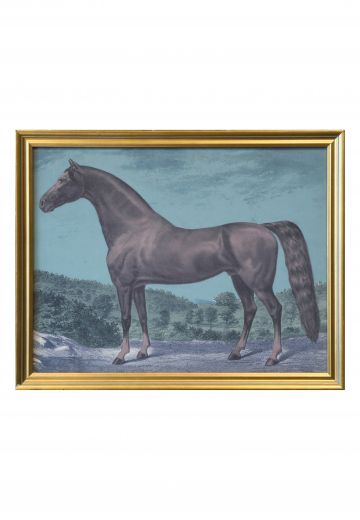 Framed Cleared Horse Lithograph