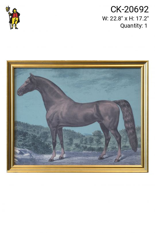 Framed Horse Lithograph