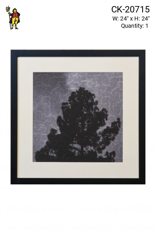 Framed Cleared Minimalist Tree Silhouette Photograph - 1