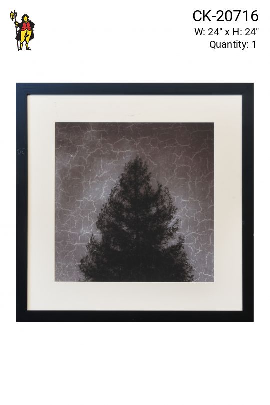 Framed Cleared Minimalist Tree Silhouette Photograph - 2