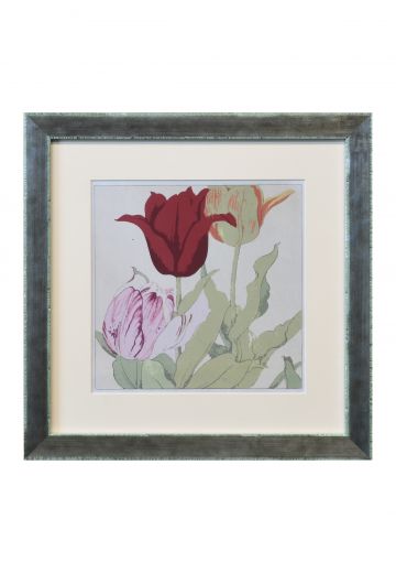 Framed Cleared Botanical Watercolor - 1