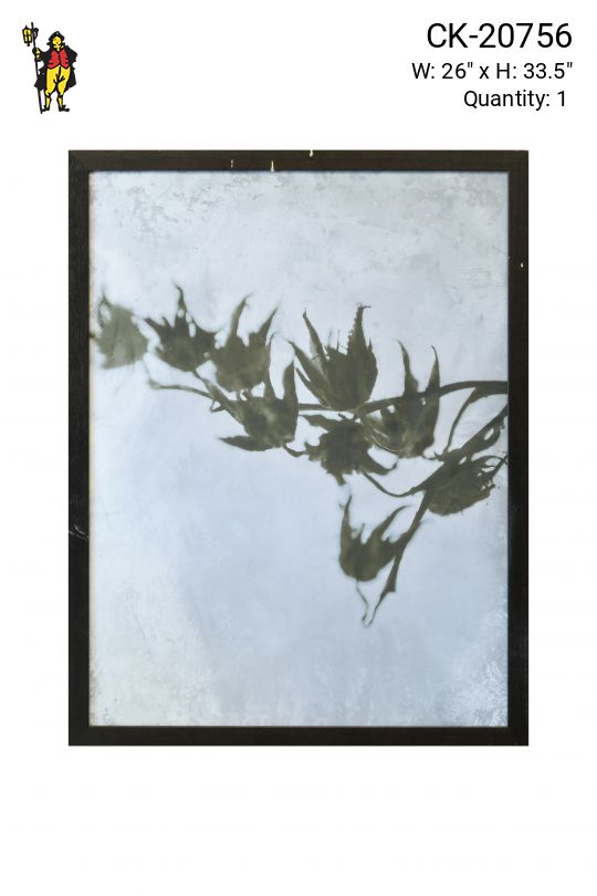 Framed Cleared Minimalist Cyanotype Photograph