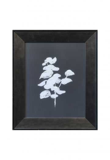 Framed Modernist Black & White Botanical Print - 2