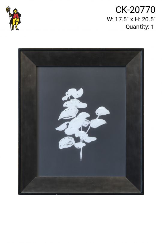 Framed Cleared Modernist Black & White Botanical Print - 2