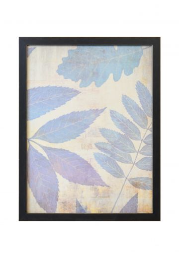 Framed Pressed Leaves Botanical Print