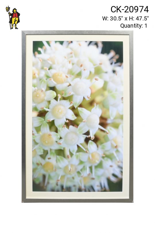 Framed Macro Floral Photograph