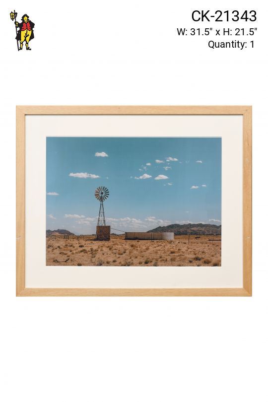 Framed "Somewhere In The Desert" Photograph