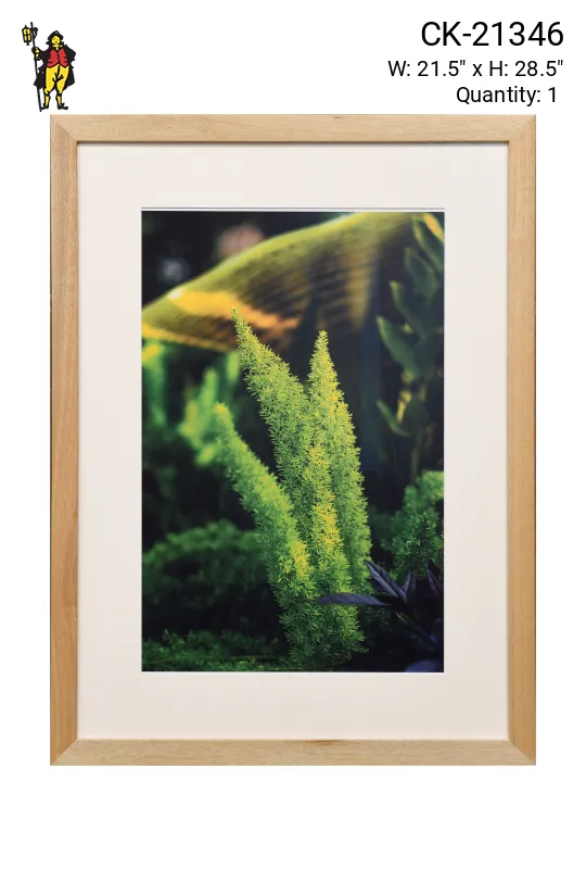 Framed Cleared "Macro Green Plant" Photograph