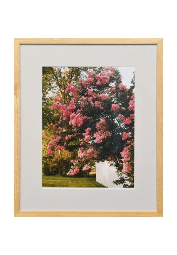 Framed Cleared "Blooming Flowers On The Lake" Photograph