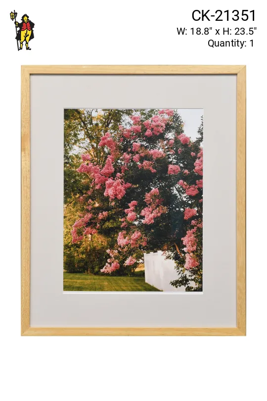 Framed Cleared "Blooming Flowers On The Lake" Photograph