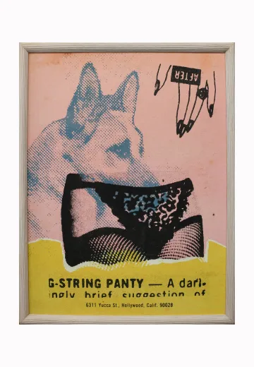 Cleared Framed Silk Screened Pop Art Collage