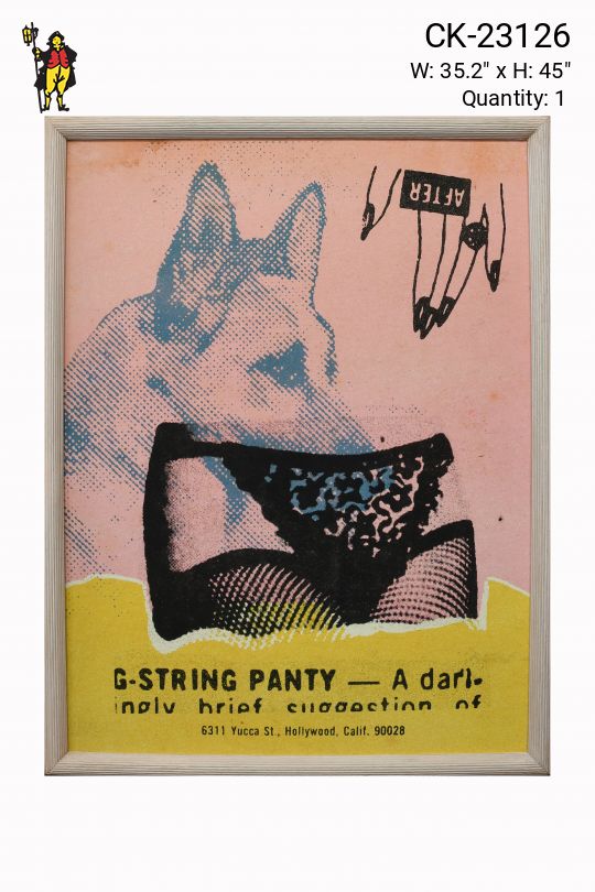 Cleared Framed Silk Screened Pop Art Collage