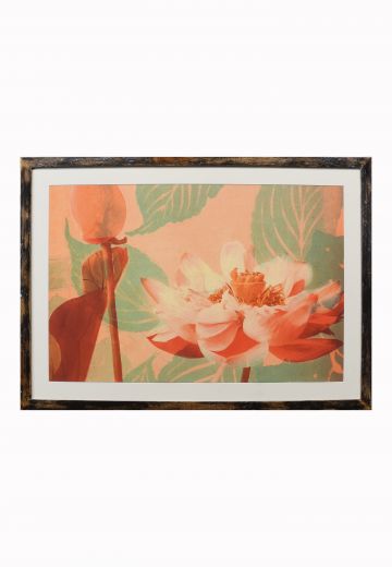 Cleared Black Framed Contemporary Botanical Painting Collage