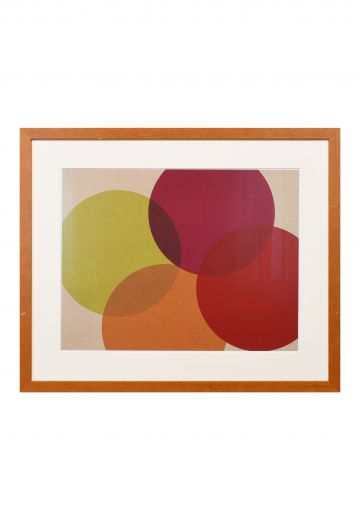 Framed "Ellipses" Graphic Art Print