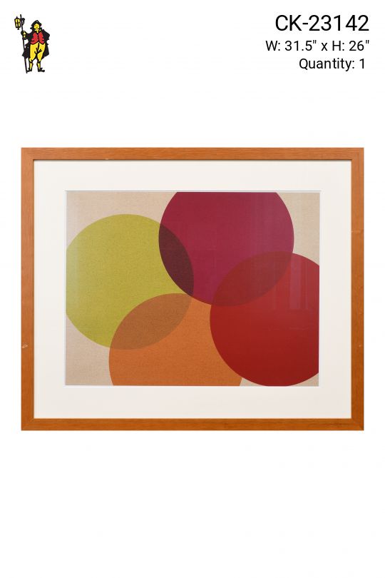 Framed "Ellipses" Graphic Art Print
