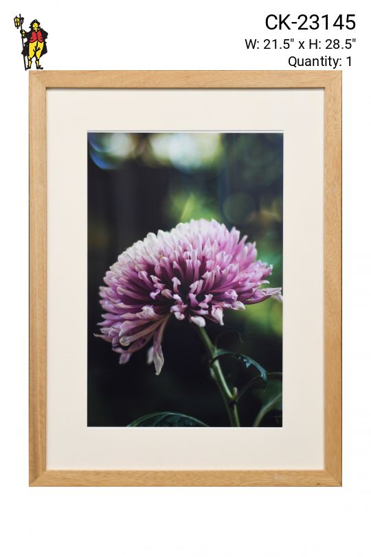 Framed "Macro Pink Flower" Photograph