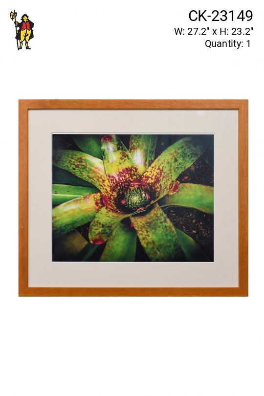 Framed "Macro Plant" Photograph