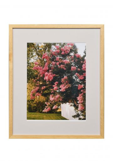 Framed "Blooming Flowers On The Lake" Print