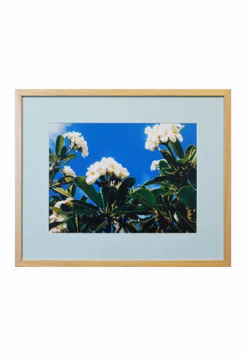 Framed Cleared Floral Photograph