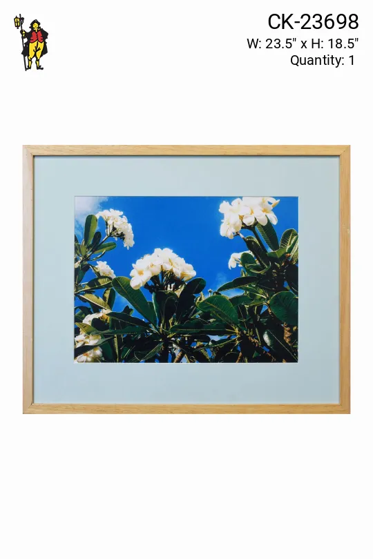 Framed Cleared Floral Photograph