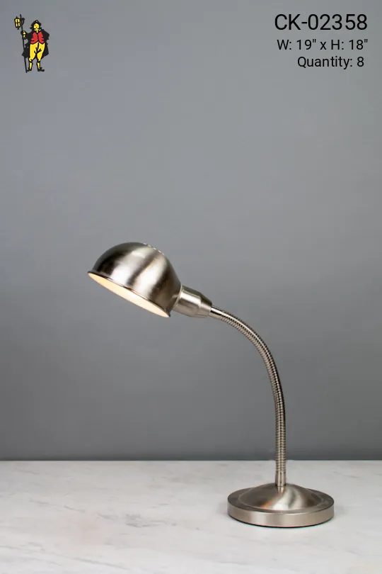 Silver Adjustable Desk Lamp