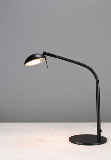 Adjustable Black Desk Lamp
