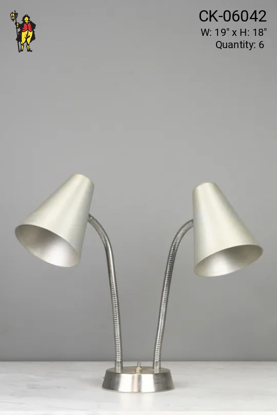 Two Light Adjustable Silver Desk Lamp