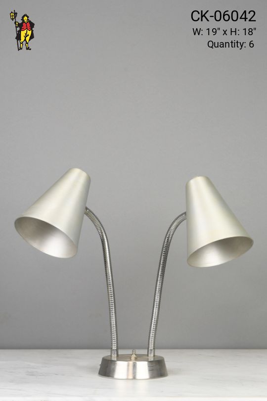 Two Light Adjustable Silver Desk Lamp